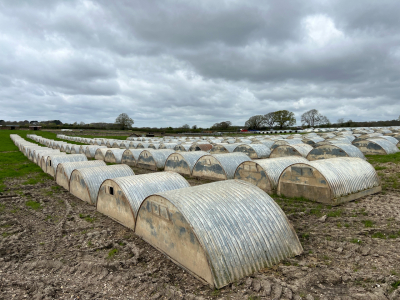 On instruction of the Allen Family Farming Group, Online auction of Pig Husbandry Equipment & Farm Machinery