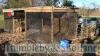 Straw/hay store 19ft x 6ft 8ins, tin roof, buyer to dismantle and remove