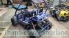 Quadzilla XRX petrol go kart (2016) - 4