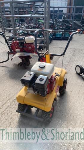 Petrol turf cutter