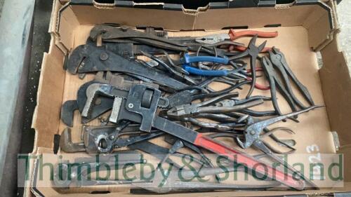 Tray of wrenches and pliers