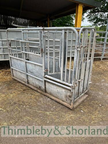 Galvanised cattle crush