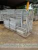 Galvanised cattle crush