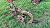 Ferguson 2 furrow plough - 3