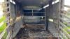 Ifor Williams cattle trailer - 5