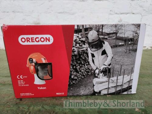 Chain saw helmet