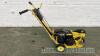 Petrol lawn edger