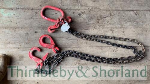 2 leg 2.1T 2m chain sling c/w shorteners and safety hook