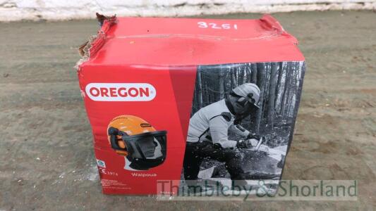 Oregon safety helmet and visor