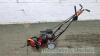 MTD petrol lawn edger - 4