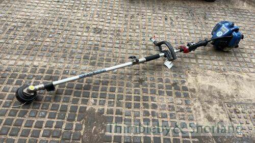 Einhell BG CB 2041 TH strimmer