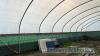 McGregor poly tunnel W - 30ft, L - 55ft, H - 13ft approx BUYER TO DISMANTLE - 5