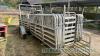 Pratley trailer mounted sheep handling system, Hibrid extended 14ft race with 38 x7ft hurdles, singleand double race - 3