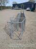 Sheep race and sorting gate 6 x 8ft panels, makes 24ft race - 3