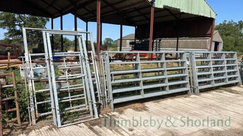 Cattle handling systems comprising 2 sorting gates, race fame, plus 14 x 10ft race gates and 20 pins