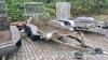 Indespension V14 plant trailer MA0130297 - 3