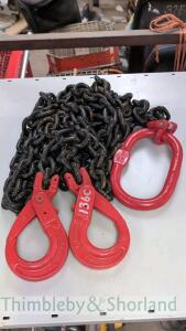 2 leg lifting chain