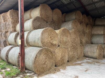 Take 60 4ft round bales 2024 Meadow Hay