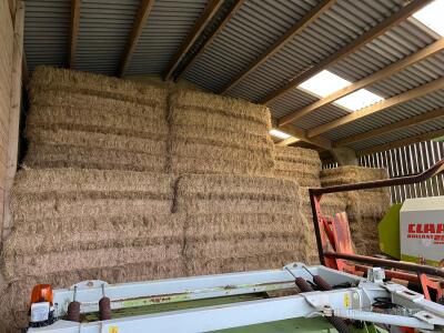 Take 50 Claas Quadrant 2200 (70 x 120 x 250) bales 2024 Meadow Hay