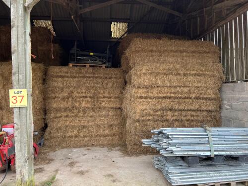 Take 60 D1000 (120 x 70 x 240) bales 2024 Meadow Hay