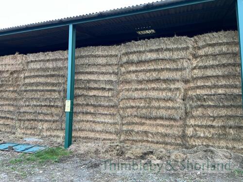 Take 100 Claas 2200 (120 x 70 x 240) bales 2024 Meadow Hay