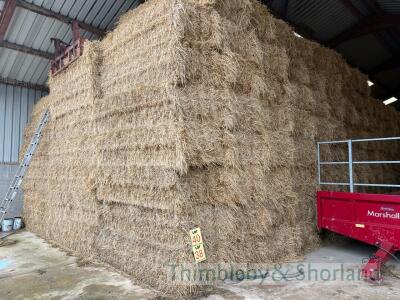 Take 120 D1000 (120 x 70 x 240) bales 2024 Barley Straw