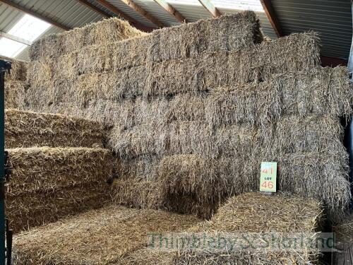 Take 100 D1000 (120 x 70 x 240) bales 2024 Wheat Straw