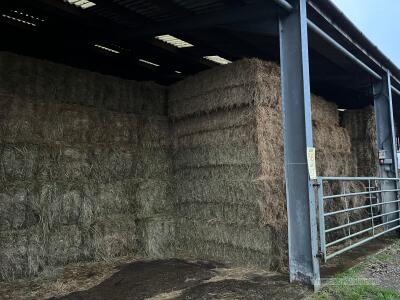 Take 100 Class 80 (80 x 70 x 210) bales 2024 Meadow Hay