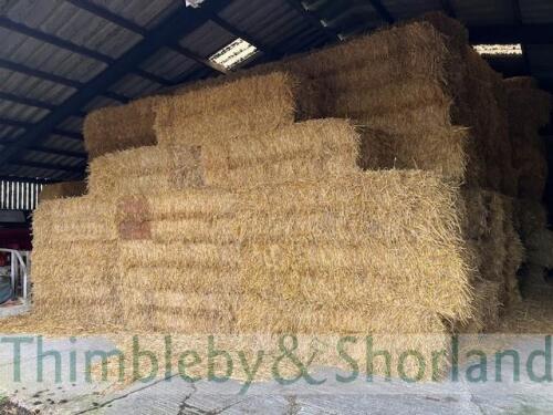 Take 100 Claas Quadrant 3200 (120 x 70 x 240) bales 2024 Wheat Straw