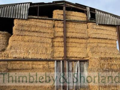 Take 70 Claas Quadrant 3200 (120 x 70 x 240) bales 2024 Barley Straw