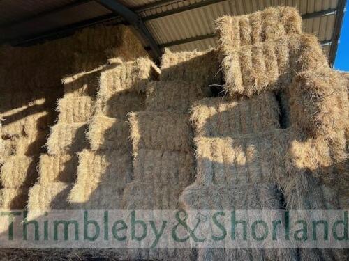 Take 70 Krone 1270 (120 x 70 x 230) bales 2024 Meadow Hay