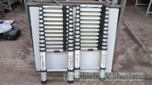 2 telescopic ladders A950770, A950746