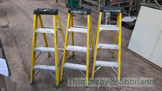 3 Youngman step ladders A950809, A950807, A950804