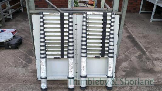 2 telescopic ladders A950748, A955567