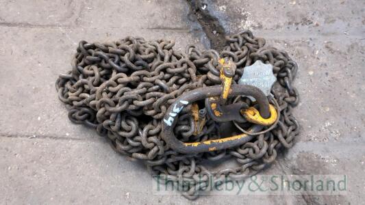 Lifting chain