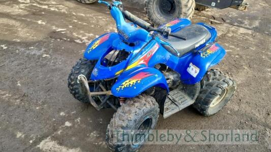 Panther quad bike