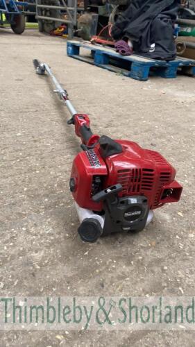 Mountfield long reach hedge cutter