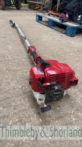 Mountfield long reach hedge cutter