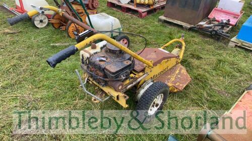 Masport petrol mower