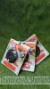 3 no Stihl Polycut 27-3 strimmer heads