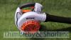 Stihl BG86C petrol blower (2021) - 2