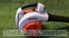 Stihl BG86C petrol blower (2021) - 2