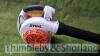 Stihl BG86C petrol blower (2021) - 2