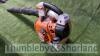 Stihl BG86C petrol blower (2009) - 4